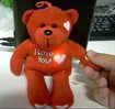 Heart rate sensor teddy bear